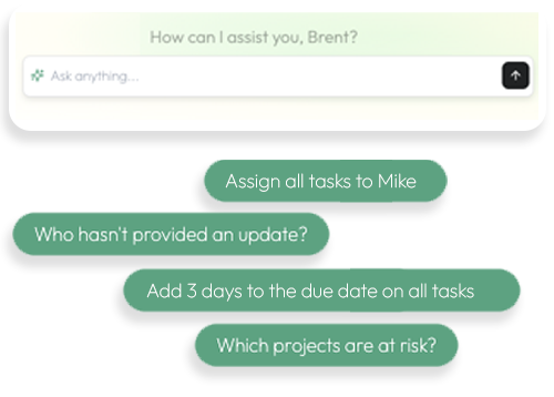 AI for project managers